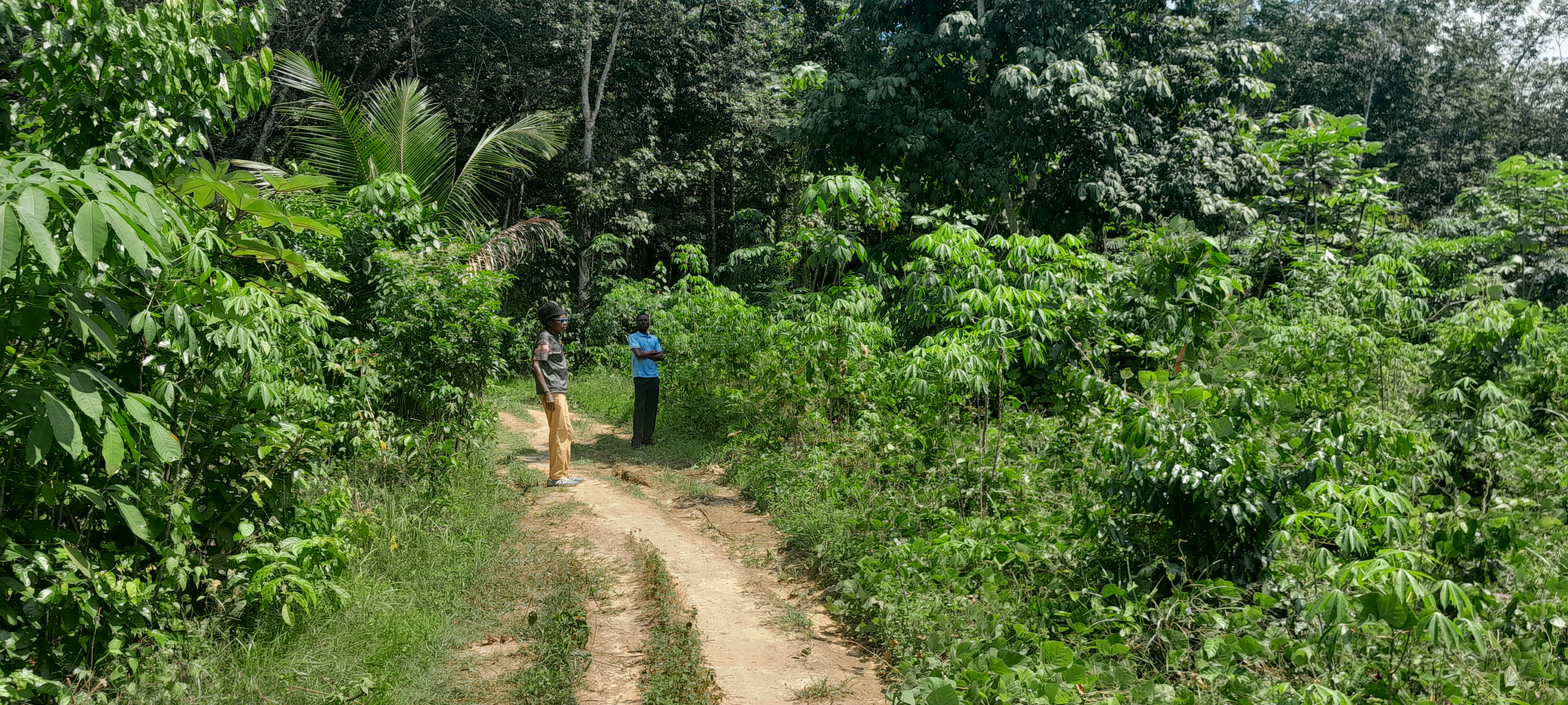 Photo du terrain en friche avant tout travail